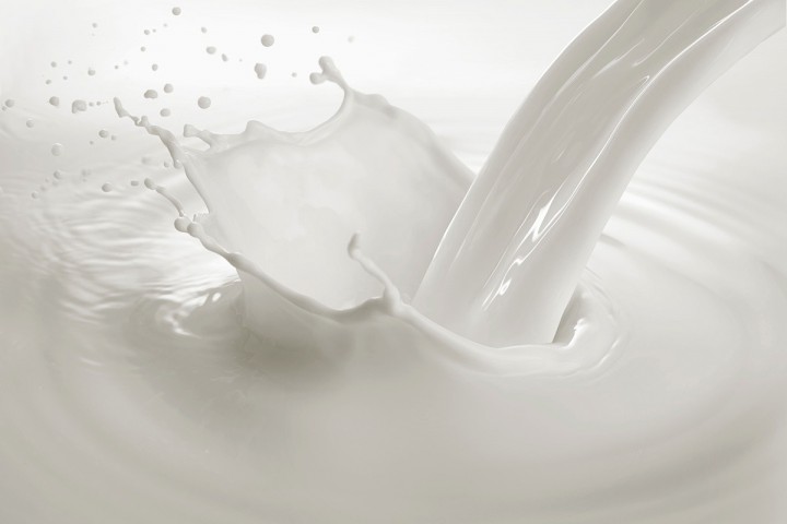 Lignes de processus: lait, sérum et saumure #1
