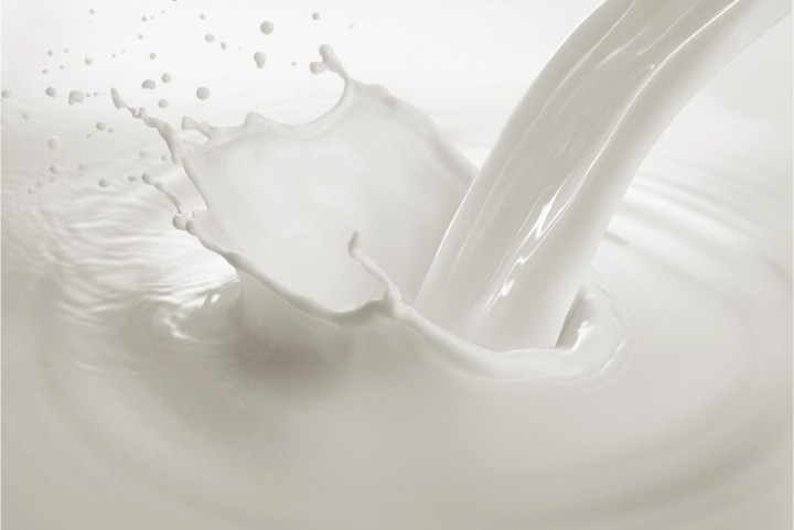 Linhas de processo: leite, soro e salmoura