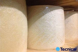 MACCHINE FORMATRICI MULTIFORMAT 2TPI-G PER FORMAGGIO PECORINO