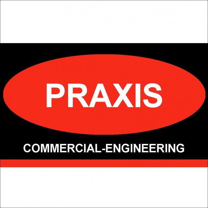 PRAXIS Commercial Engineering P.C.