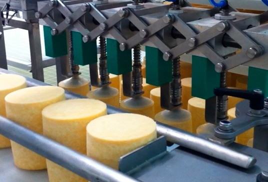 Automatic loading of cheeses on shelves with trays #3