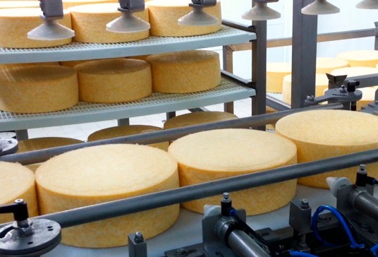 Automatic loading of cheeses on shelves with trays #1