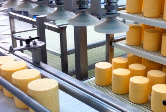 Automatic loading of cheeses on shelves with trays #2